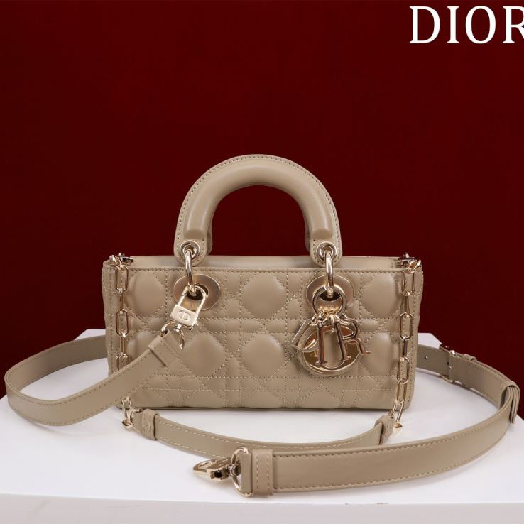 chr1st1an D10r my lady bags